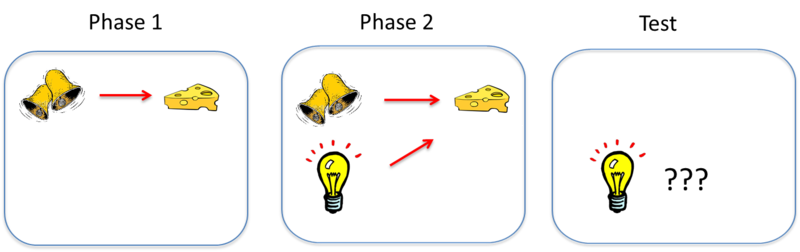 Diagram depicts the blocking of a second stimulus, a light, by the original stimulus, the ringing bell. The process is described in the following section. Diagram depicts the blocking of a second stimulus, a light, by the original stimulus, the ringing bell. The process is described in the following section.